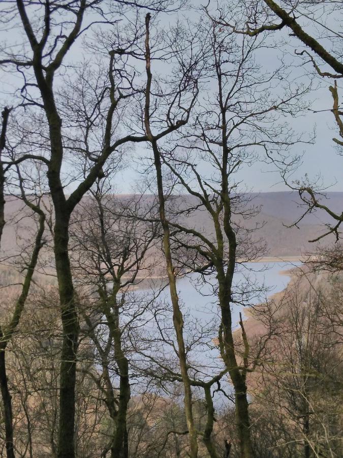 Revin  Entre Meuse Et Foret מראה חיצוני תמונה