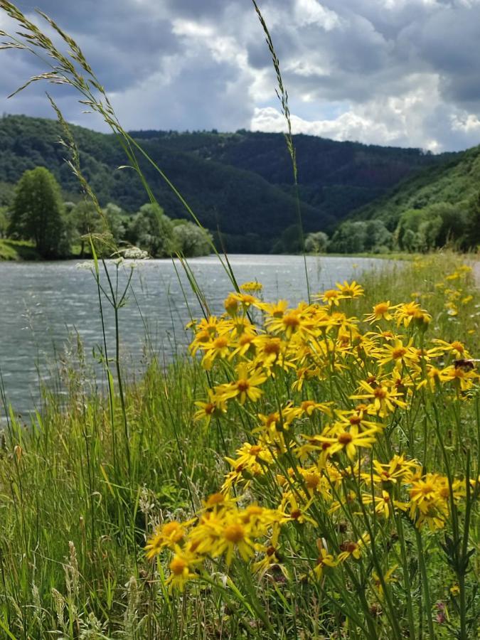 Revin  Entre Meuse Et Foret מראה חיצוני תמונה