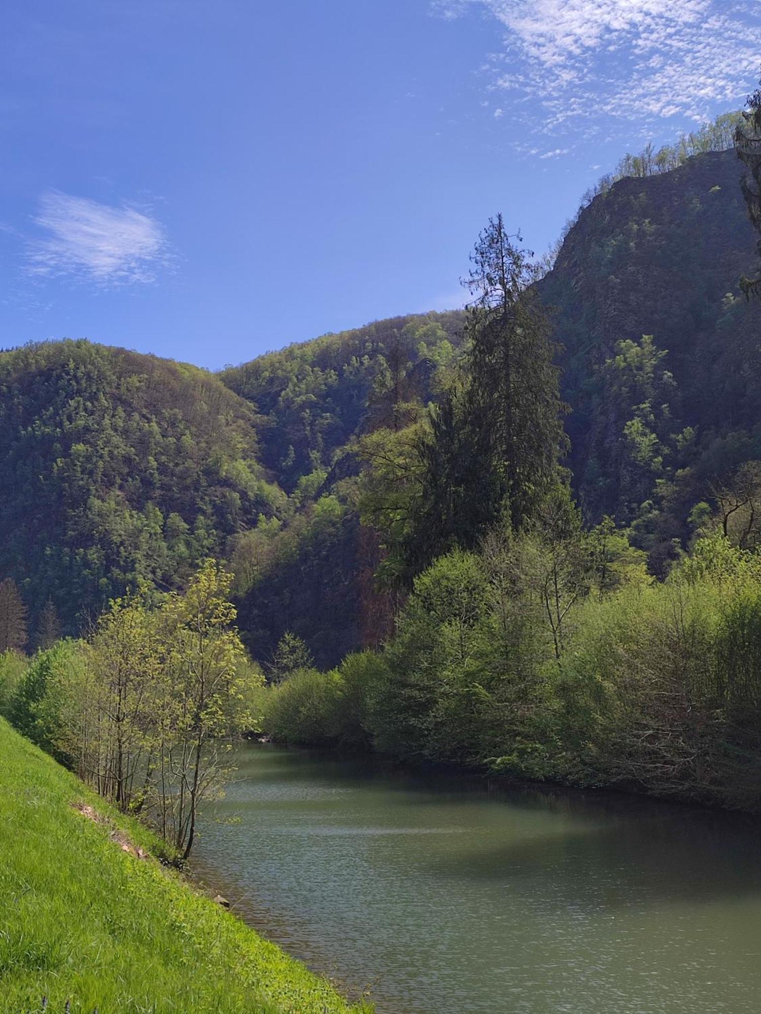 Revin  Entre Meuse Et Foret מראה חיצוני תמונה